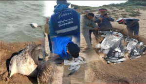 Capture d’écran 2026-03-02 110540