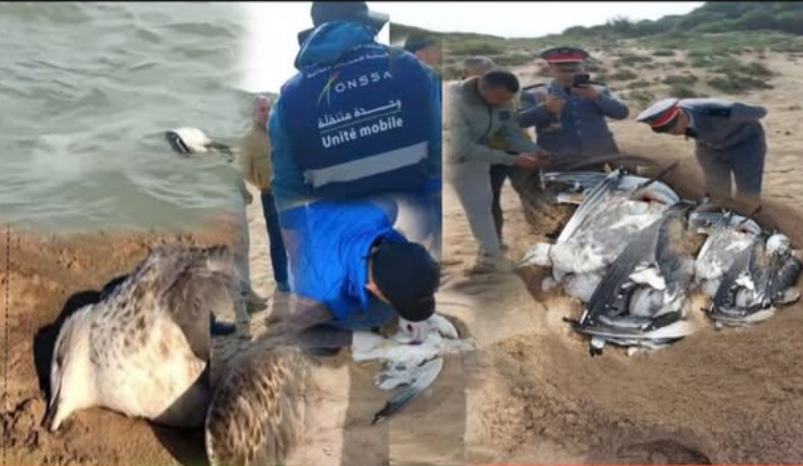 Capture d’écran 2026-03-02 110540