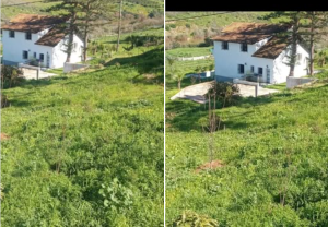 Capture d’écran 2026-03-03 112359