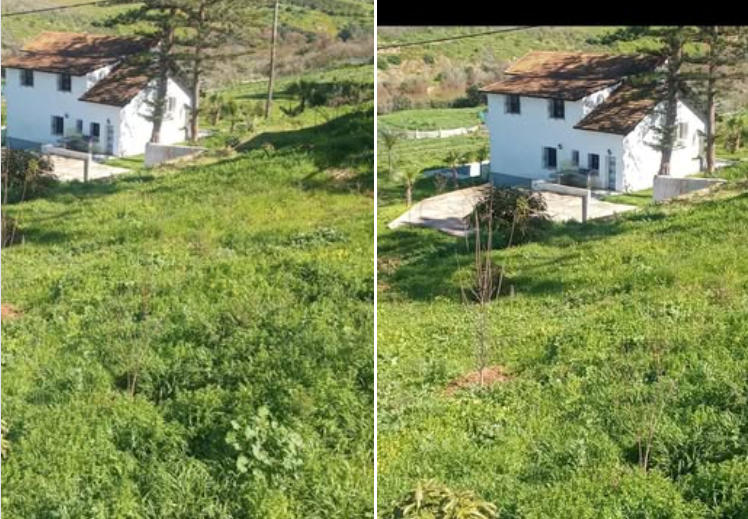 Capture d’écran 2026-03-03 112359