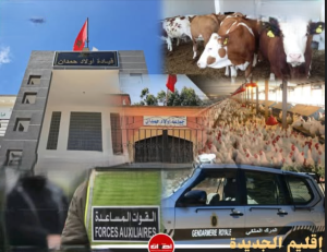 Capture d’écran 2026-03-06 114528