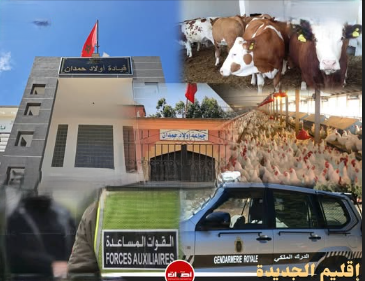 Capture d’écran 2026-03-06 114528