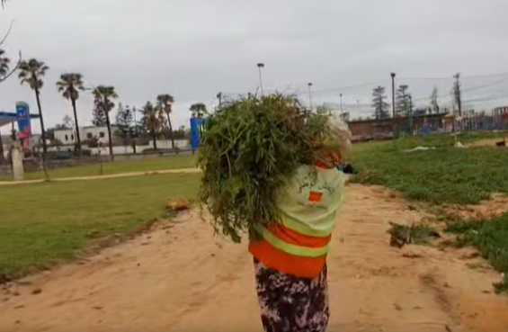 Capture d’écran 2026-03-09 114636