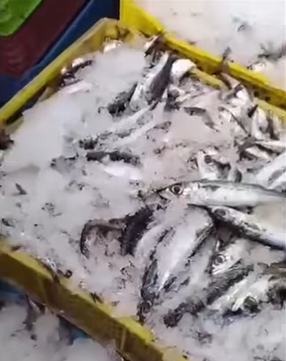 Capture d’écran 2026-03-10 121028