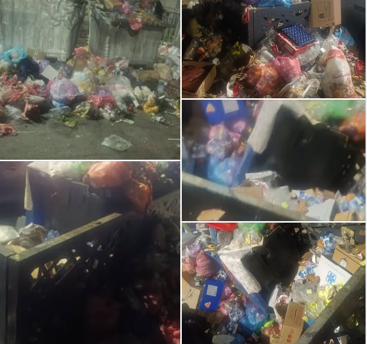 Capture d’écran 2026-03-14 124720