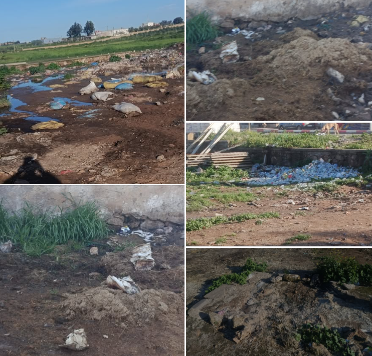 Capture d’écran 2026-03-27 131129