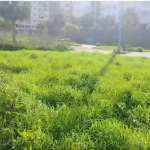 الجديدة… مطالب بإعادة تأهيل وصيانة المساحات الخضراء بعد إهمال مقلق