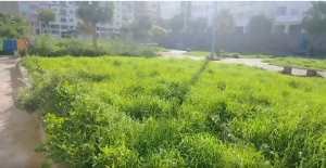 Capture d’écran 2026-03-30 101935