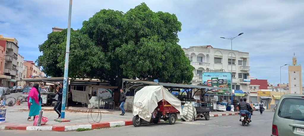 671667887_26598159876536981_6554479094780297899_n