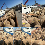 Capture d’écran 2026-04-11 111513