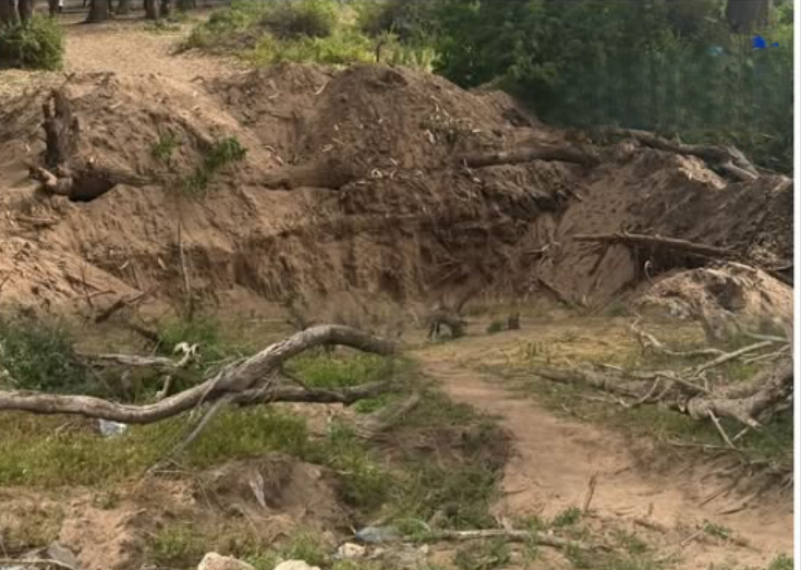 Capture d’écran 2026-04-20 113803