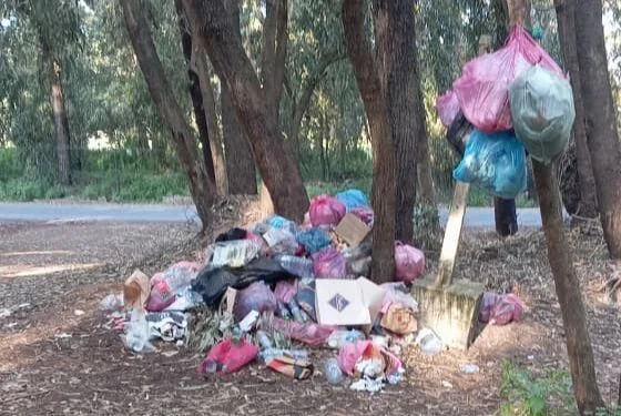 IMG_20260416_115321-560x375